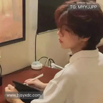 韶靓影