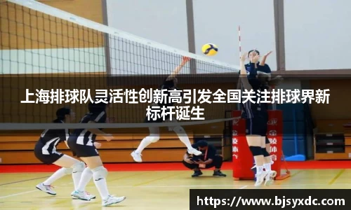 上海排球队灵活性创新高引发全国关注排球界新标杆诞生