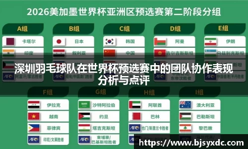 深圳羽毛球队在世界杯预选赛中的团队协作表现分析与点评