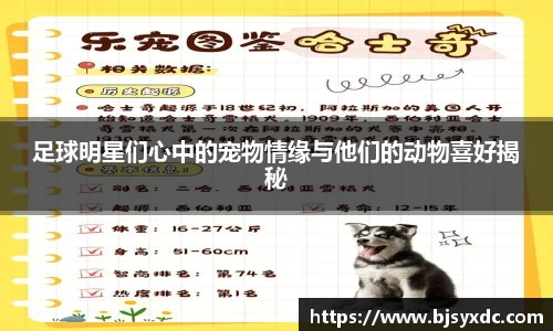 足球明星们心中的宠物情缘与他们的动物喜好揭秘